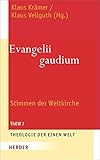  Evangelii gaudium: Stimmen der Weltkirche (Theologie der einen Welt)