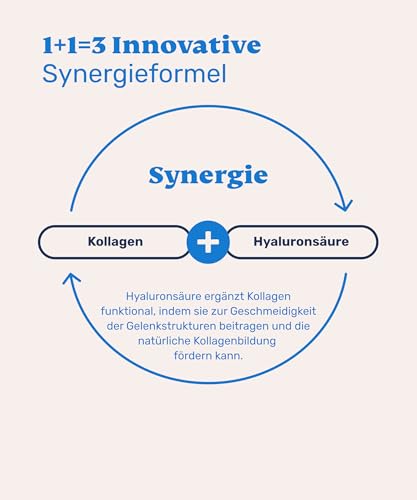 mammaly Kollagen & Hyaluron-Säure Pulver für Hunde - 75g Pulver für Deinen Hund