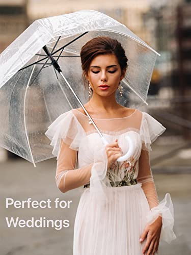 Parquet Clear Bubble Umbrella With Windproof Dome - Transparent Umbrella For Adults #TOP4
