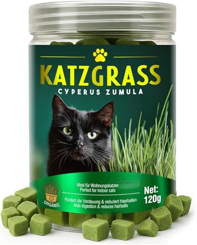 Mochiby Cat Grass Treats for Indoor Cats | Salmon & Catnip Dental Snacks | Hairball Control & Teeth Cleaning | Freeze-Dried Training Rewards