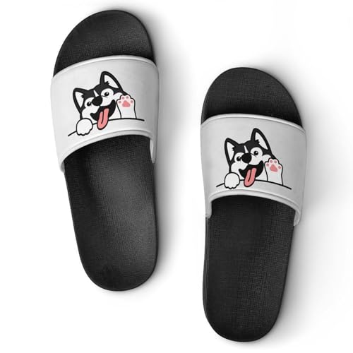 [ZKCASA] Xbp 킢 nXL[   [V[Y jp  T_ y OJ ~ 􂦂 p qp Cp v[g 44 (270mm)