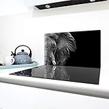 Las placas multifunción de cristal son universales y no solo sirven como protección para su cocina o superficie de trabajo adicional, sino también como protección contra salpicaduras, tabla de cortar, bandeja para servir o sartenes, ya que el cristal de arriba es resistente al calor.