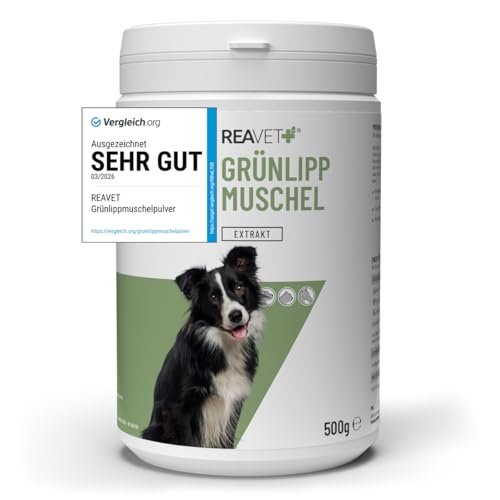 TESTURTEIL SEHR GUT 2026 ReaVET Grünlippmuschel Extrakt Pulver 500g für Hunde I Grünlippmuschelpulver Hund für Katze & Pferde hochdosiert I nach behandelter Arthrose, Arthritis - Barf Futterzusatz