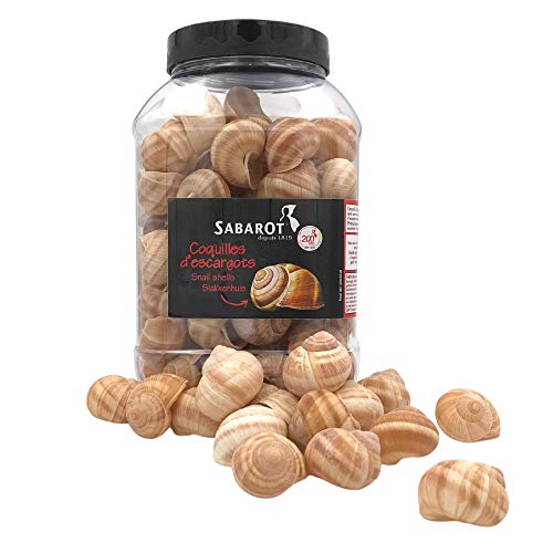 Sabarot - Snail Shells 96 Pieces