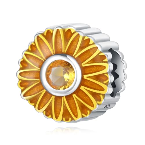 GKgȃfCW[r[Y`[A925X^[OVo[`[uXbgANZT[APandorauXbglbNXƌ݊AMtg{bNXpbP[WB