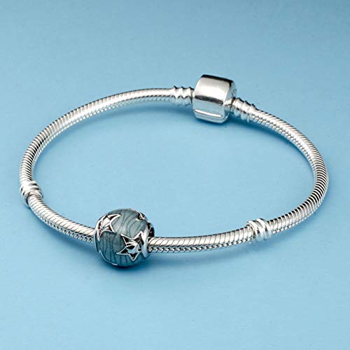 Sea Turtle Charms Ocean Animal Charm 925 Sterling Silver Octopus Dolphin Starfish Beads Hawaii Summer Tropical Marine Life Charm For Women Gift (Sea Shell Beads) #TOP3