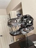 JOTNBOBO Dinosaurier-Schädel-Statue, Dinosaurier-Skulpturen Halterung Tyrannosaurus Schädel Replik Dekoration Schädel Knochen Harz Replik mit Halterung für Home Office Decor Regal Display