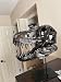 JOTNBOBO Dinosaurier-Schädel-Statue, Dinosaurier-Skulpturen Halterung Tyrannosaurus Schädel Replik Dekoration Schädel Knochen Harz Replik mit Halterung für Home Office Decor Regal Display