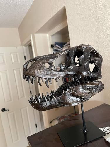 JOTNBOBO Dinosaurier-Schädel-Statue, Dinosaurier-Skulpturen Halterung Tyrannosaurus Schädel Replik Dekoration Schädel Knochen Harz Replik mit Halterung für Home Office Decor Regal Display
