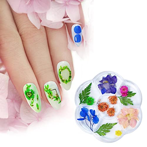 Flores secas para unhas - 3D Caixa de Flores Secas, Multicoloridas, Suprimentos de Decoração de Desi