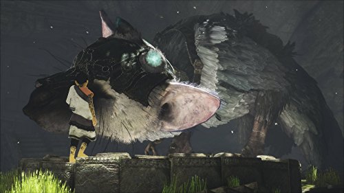 Sony Ps4 The Last Guardian - vue 7