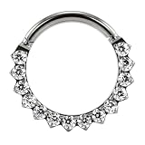 AZARIO LONDON Anillo de segmento con bisagras de titanio de grado G23, diseño frontal de piedras de circonita cúbica, calibre 16, aro para cartílago, aro de daith, joyería de piercing, 10mm Diameter