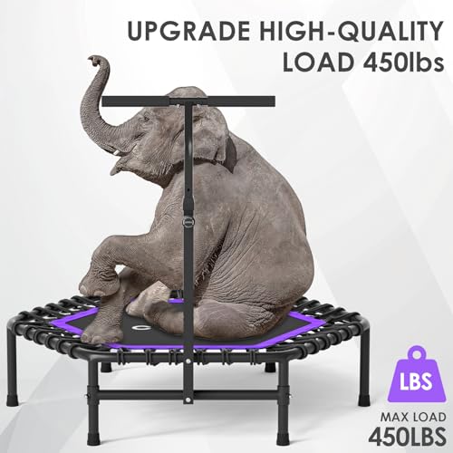 Image of CLORIS 45'' Rebounder Trampoline for Adults - Max Load 450lbs, Trampoline with Adjustable Foam Handle Indoor /Outdoor Fitness Body Exercise