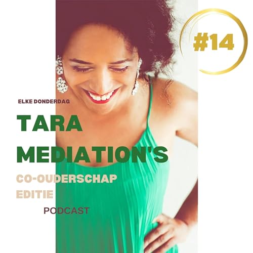 1.14 Navigeren met co-ouderschap met voorzichtigheid en strategische planning