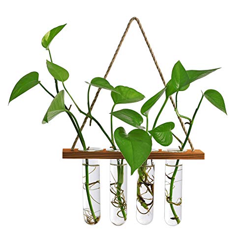 WERTSWF Wall Hanging Glass Planters