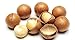 Macadamia Nuts - In shell (whole) (2 LB)