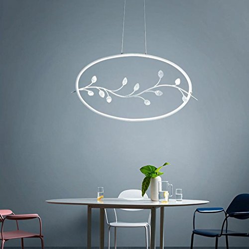 Lustres minimalistes modernes de lumières, gradation non polaire-b pour bureau