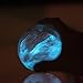 PyroFarms The Bioluminescent Bio-Orb Gift Option - Living Orb with Free Glowing Plankton Coupon