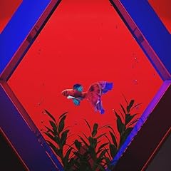 �M�������� / ����