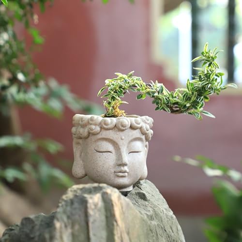 Pots de fleurs rétro artistiques en résine légère et ultra résistante - 7