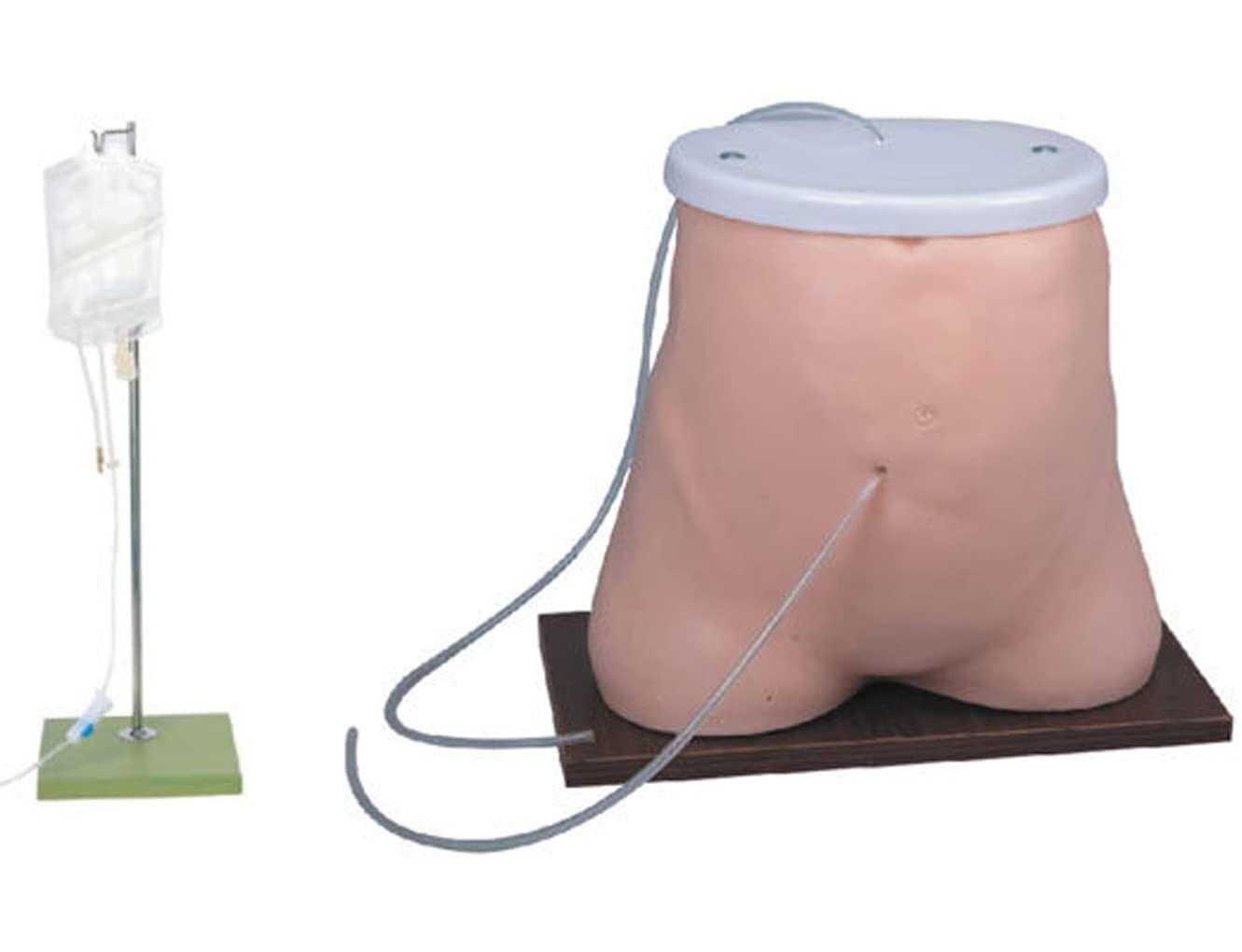 Modèle D'Enseignement, Modèle De Dialyse Péritonéale Humaine, Modèle D'Enseignement Médical, Modèle D'Anatomie De Formation Sur Simulateur De Dialyse Péritonéale, Fourniture Abdominale De Mannequin P