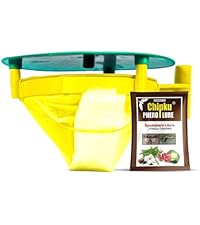 Small manufacture image 5