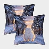 gato angora turco precio chile ★ Diseño de Cremallera Oculta: el delicado cierre de cremallera oculta fue diseñado para sentirse y lucir elegante. Gracias a la cremallera suave, las inserciones se pueden insertar y quitar de las cubiertas fácilmente, muy conveniente.