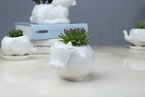 Wish You Have A Nide Day White Cow Ceramic Flower Planters/Succulent Plant Pots (Cow) #TOP5