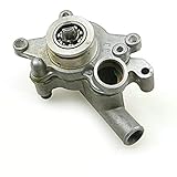 Atv Quad Water Pump For Linhai Lh260 300 Feishen Fa-D300 H300 22820