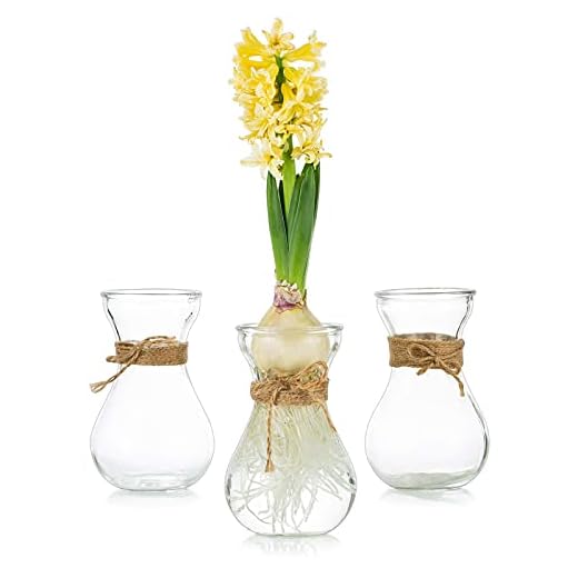 Klarglasvasen Für Blumen Mit Schnurseil, 3-Teilige Glühbirnenhyazinthenvasen Bud Avocado Vase Edelwickenvase Für Hydroponikpflanzen Narzissen Orchideen Für Desktop-Tisch Innenfensterbank Dekor