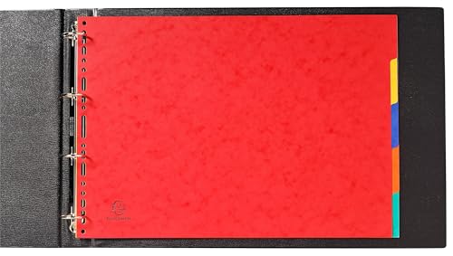 Intercalaires de classement A3 Exacompta carton de 20 intercalaires rigides - 2