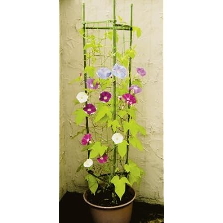 Amazon 野菜やつる花等の誘引にピッタリ プランターに設置してネットフェンスとして楽しめます Daim ネット付サポート支柱 外径11mm 長さ1500mm トレリス