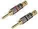 rembus High End verriegelbare angulado Conector Banana, Dorado, 4 Unidades, BS de...