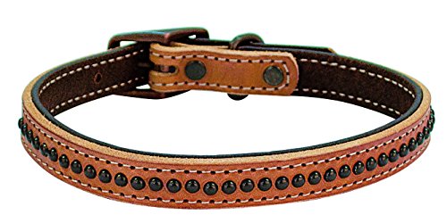 Weaver Leather Pet Outlaw Collar