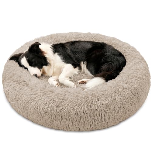 Image of JOLLYVOGUE Washable Dog Bed Medium Size Dog, 31 Inch Donut Medium Pet Bed
