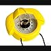 Nautos Plastimo I-50 - Bearing Compass - Yellow