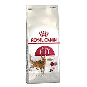 Royal Canin Fit 32 Adult Dry Cat Food, Meat Flavor, 4 Kg