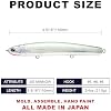 Lucky Craft Wander Slim 110 Saltwater Fishing Lures, 4-3/8" Slow-Sinking Pencil Lure for Halibut, Surf Perch & Striped Bass, Long-Casting Fishing Gear, 733 Ghost Half Beak - Sayori #1