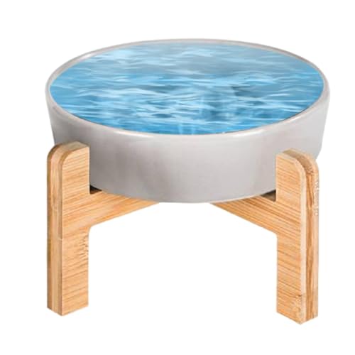 Gamelle d'alimentation en céramique durable et résistante aux déversements - 8