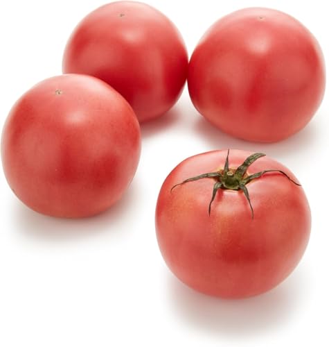 [①] Ɩp Y g}g MTCY 12