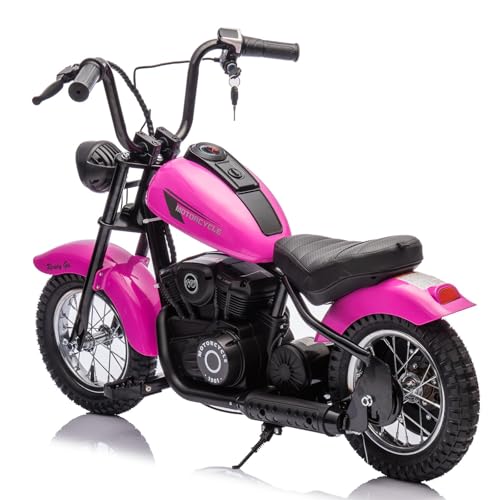 24V 250W Kids Electric Dirt Bike, 2-Speed, Up to 14 MPH