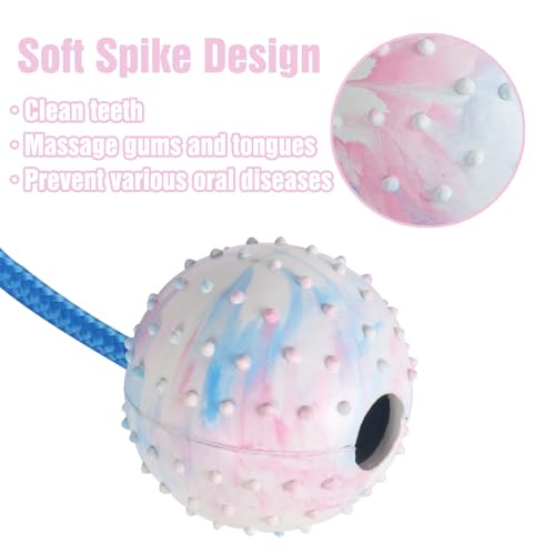 Ball on Rope Dog Toy, 2Pcs Dog Ball on Rope Dog Rope Toys Ball Exercise and Reward Toy for Dogs for Chew Training Pull Throw Toy Tug Toy Dogs Fetch Toys Belgian Malinois Gifts Ball on Rope Dog Toy, 2Pcs Dog Ball on Rope Dog Rope Toys Ball Exercise and Reward Toy for Dogs for Chew Training Pull Throw Toy Tug Toy Dogs Fetch Toys Belgian Malinois Gifts