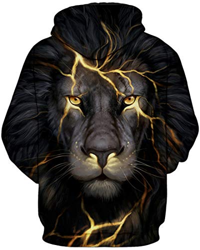 Chaos World Boys' Hoodie Realistic 3D Print Graphic Hooded Sweatshirts Galaxy Animal Pattern(L,Lightning Lion) #TOP2
