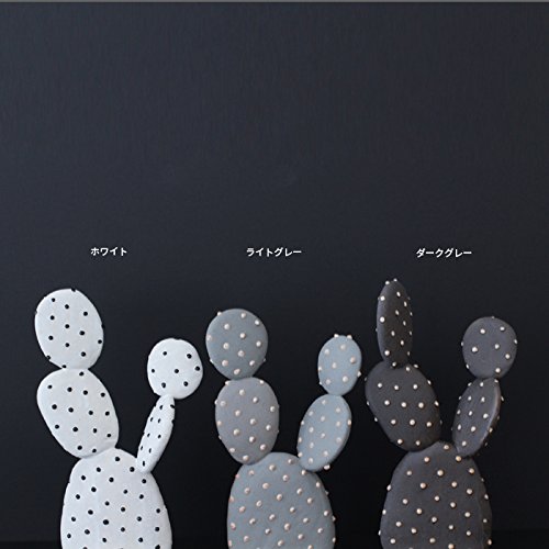 STUDIO ZOK　スタジオゾック　陶植 0ce45a1f41bb5c4316a539e040ca92