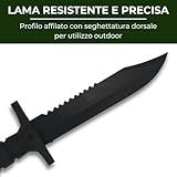 Generico B0GFC57ZFY lato 2