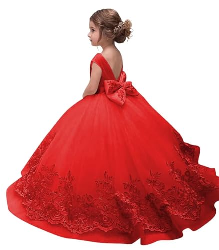 Lace Appliques Flower Girl Dresses for Wedding Princess Flower Girl Dress Party Formal Dance Gown Communion Tulle Pageant Dresses for Girls Size 8