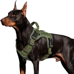 WINGOIN Green Harness with Handle Tactical Dog Harness Vest for Large Medium Dogs No Pull Adjustable Reflective K9 Military Dog Vest Harnesses for Walking, Hiking, Training(M)