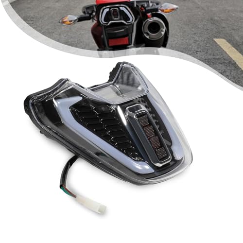 BAOUFF Tail Light for Hawk 250,LED Dirt Bike Taillight Wick for Hawk250