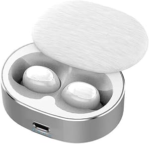 Bluetooth in Ear Headphones Wireless Earbuds Waterproof Bilateral Talk Bluetooth Headset with Rotatable Metal Charging Case 30H Playtime