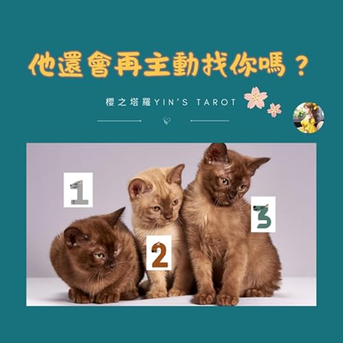 【塔羅占卜】他還會再主動找你嗎？💔 ｜愛情占卜｜櫻之塔羅 Yin&rsquo;s Tarot